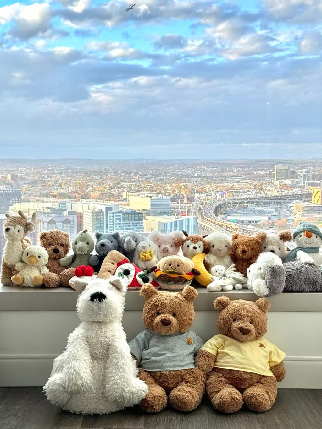 Dedicated for live streaming of clothing and plush toys  FREE SHIPPING OVER $50