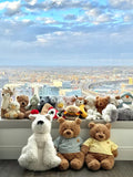 Dedicated for live streaming of clothing and plush toys  FREE SHIPPING OVER $50
